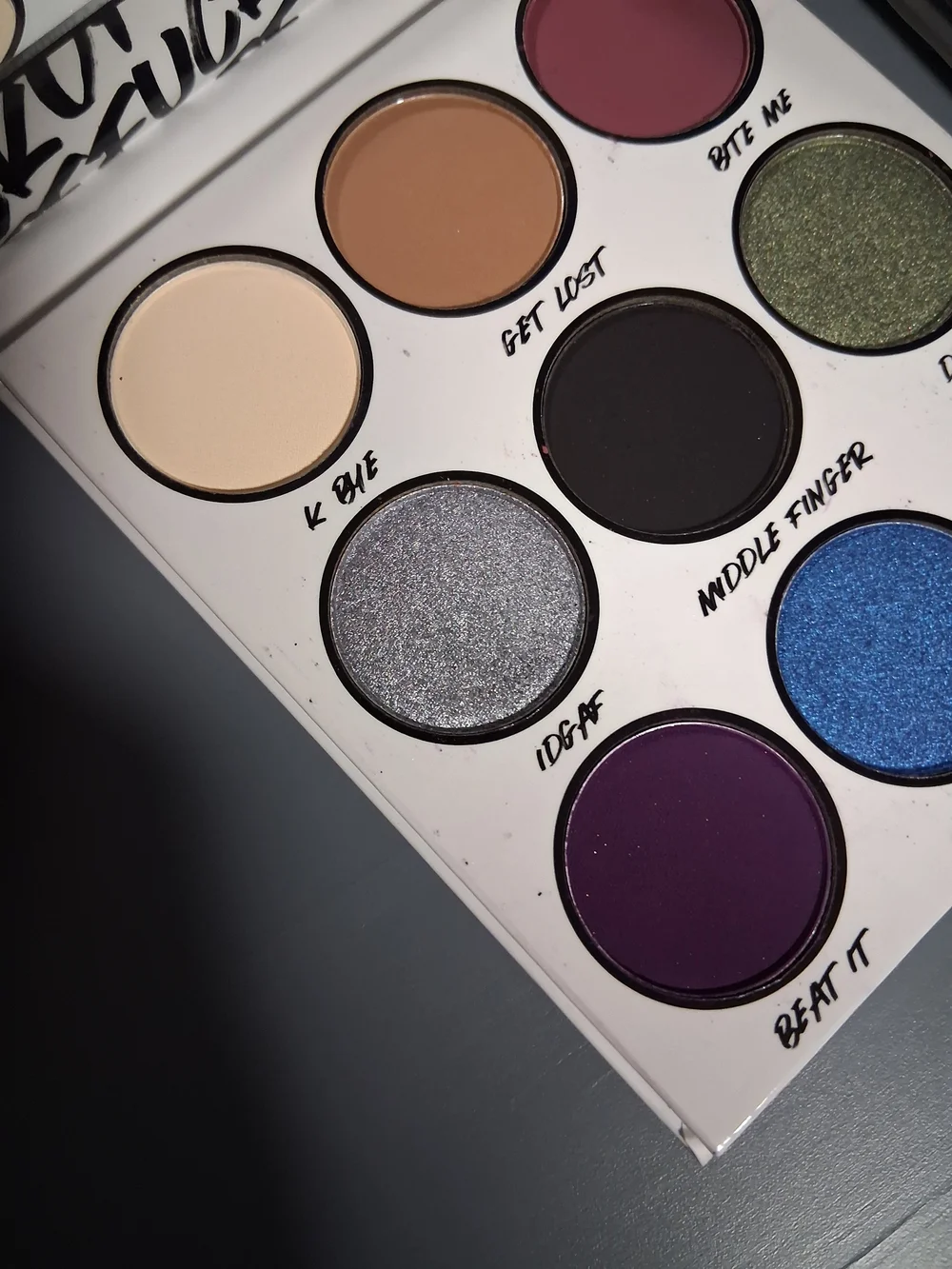 BH Cosmetics F**ck Off Palette And Lipgloss